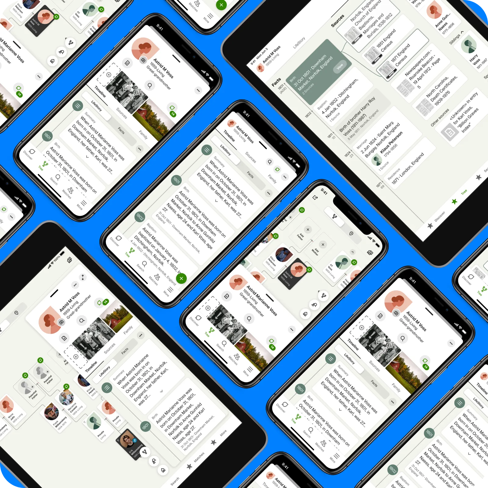 Person Page Update — key screens