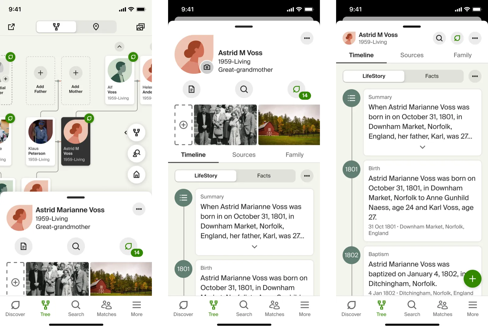 The redesigned person page raised in context over the tree — timeline, sources, family.